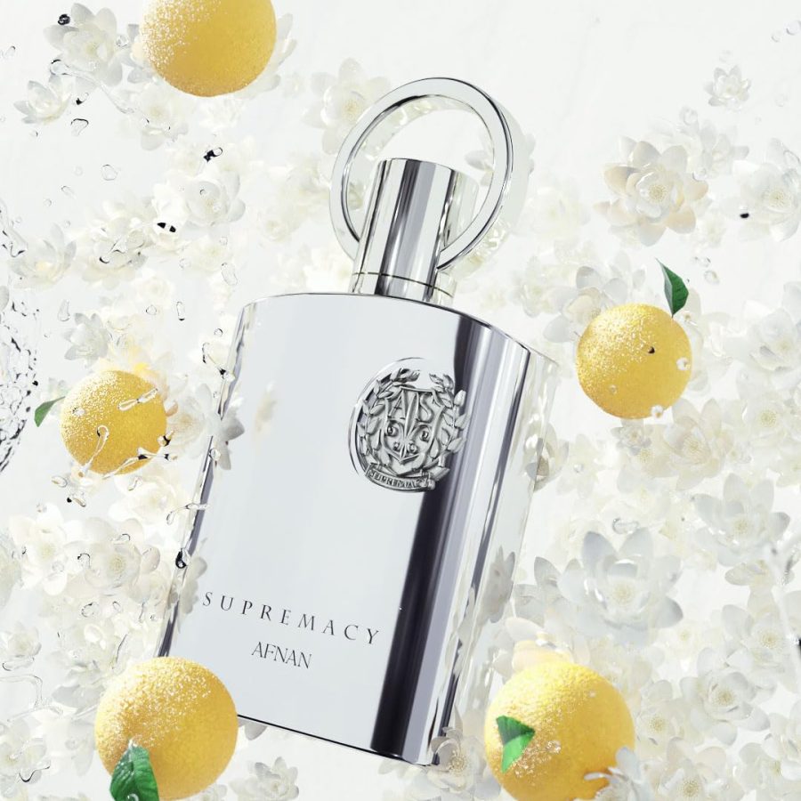 61azlTnLqRL._AC_SL1350_