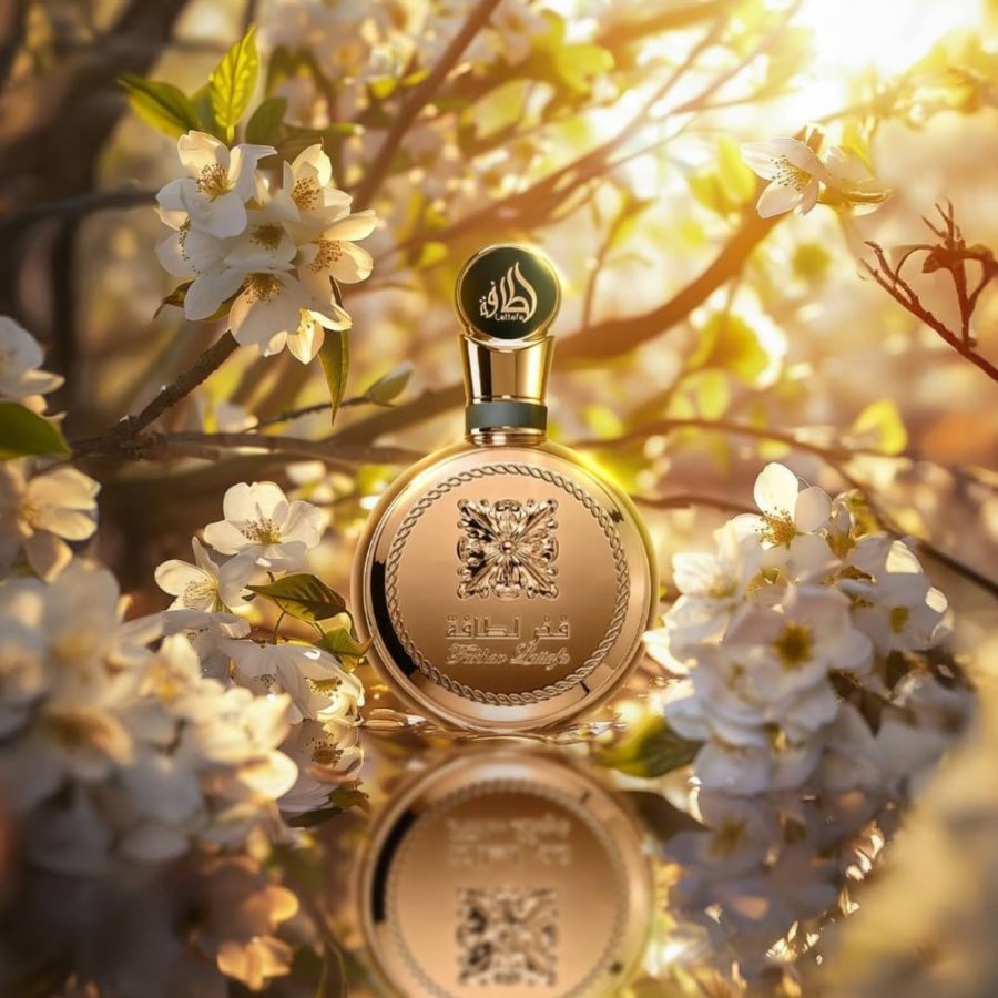 61ocdCf0yyL._AC_SL1000_ (1)